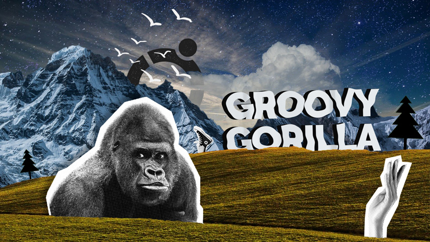 Groovy Gorilla 