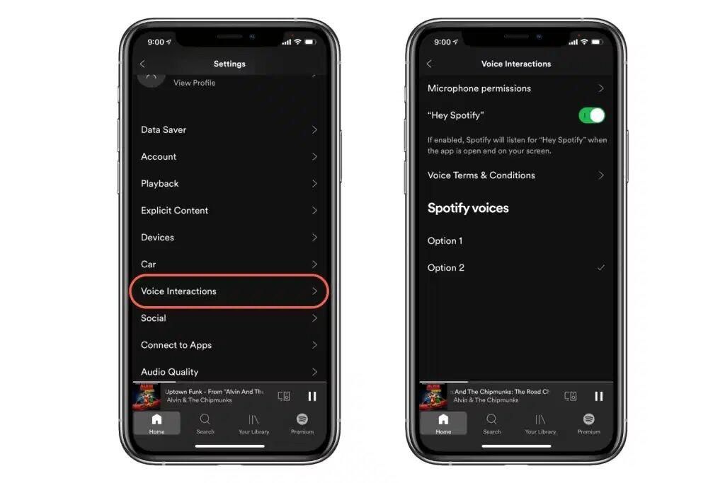 Hey Spotify on iPhone