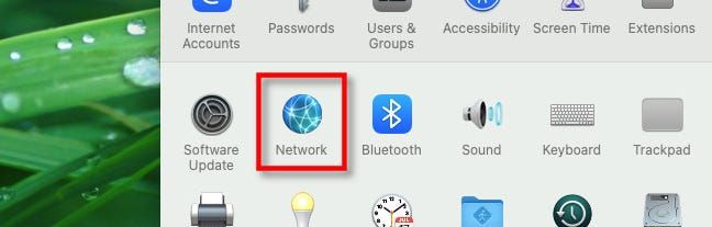 In Mac System Preferences, select "Network."